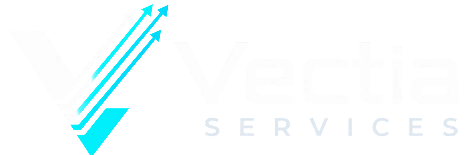 Vectia Services